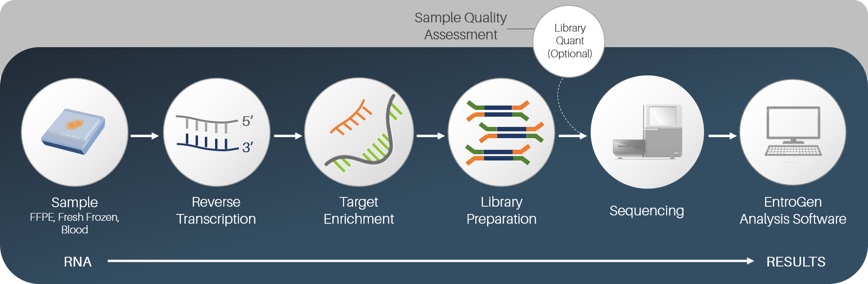 RNA Fusion Gene Panel | EntroGen, Inc.