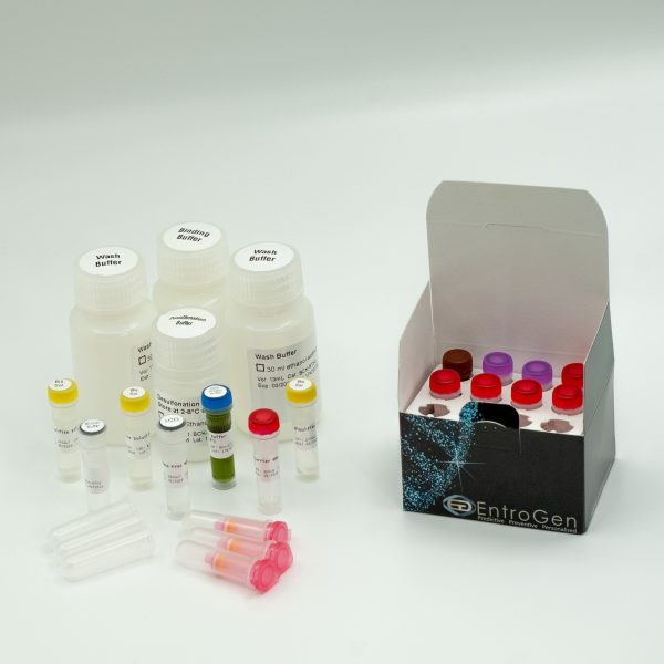 MGMT Methylation Detection Kit w/ Bisulfite Conversion Kit