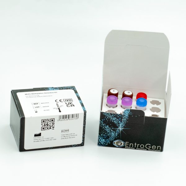 MLH1 Methylation Detection Kit