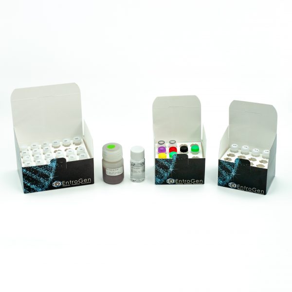 RNA Fusion Gene Panel (For Illumina® Platforms)
