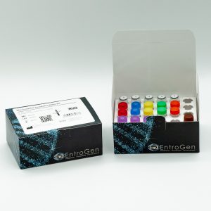 Microsatellite Instability Kit