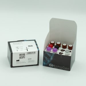 DPYD Genotyping Kit
